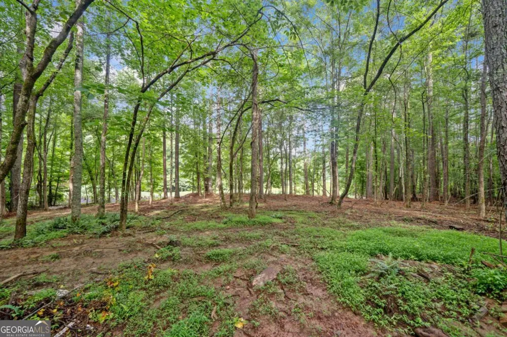 240 Brock TRL Milton, GA 30004