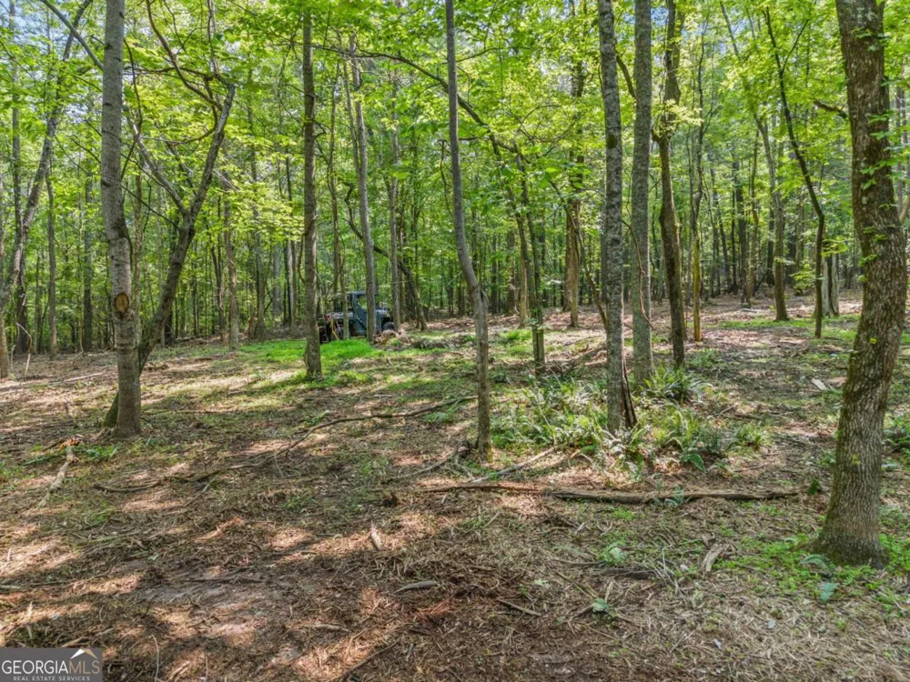 240 Brock TRL Milton, GA 30004