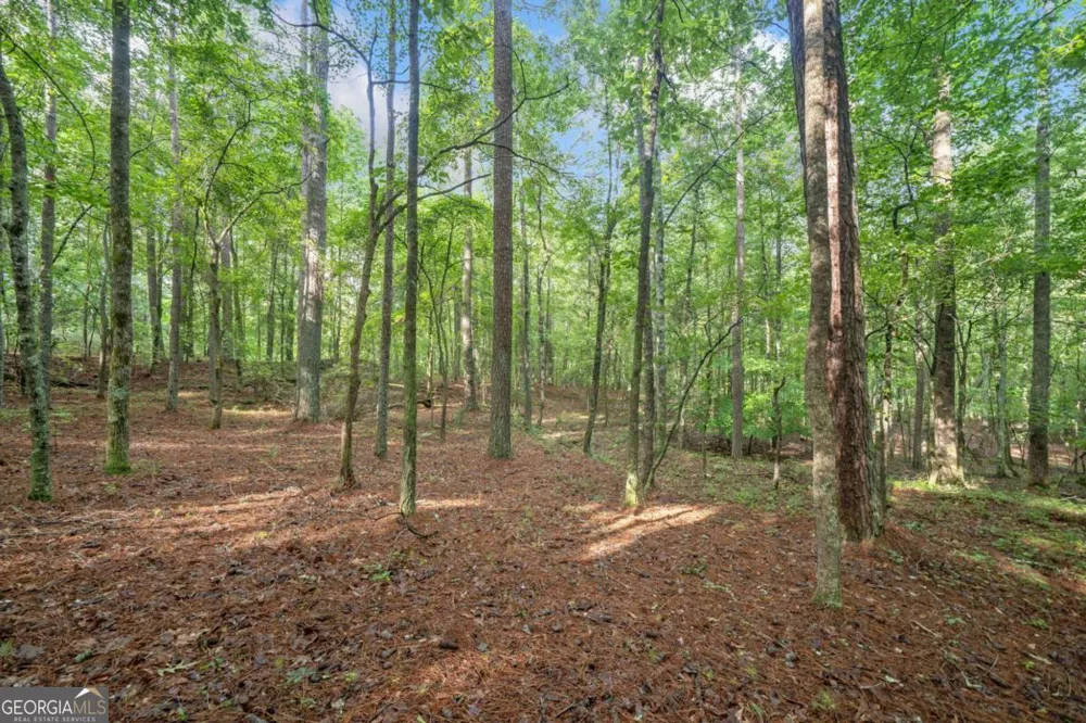 240 Brock TRL Milton, GA 30004