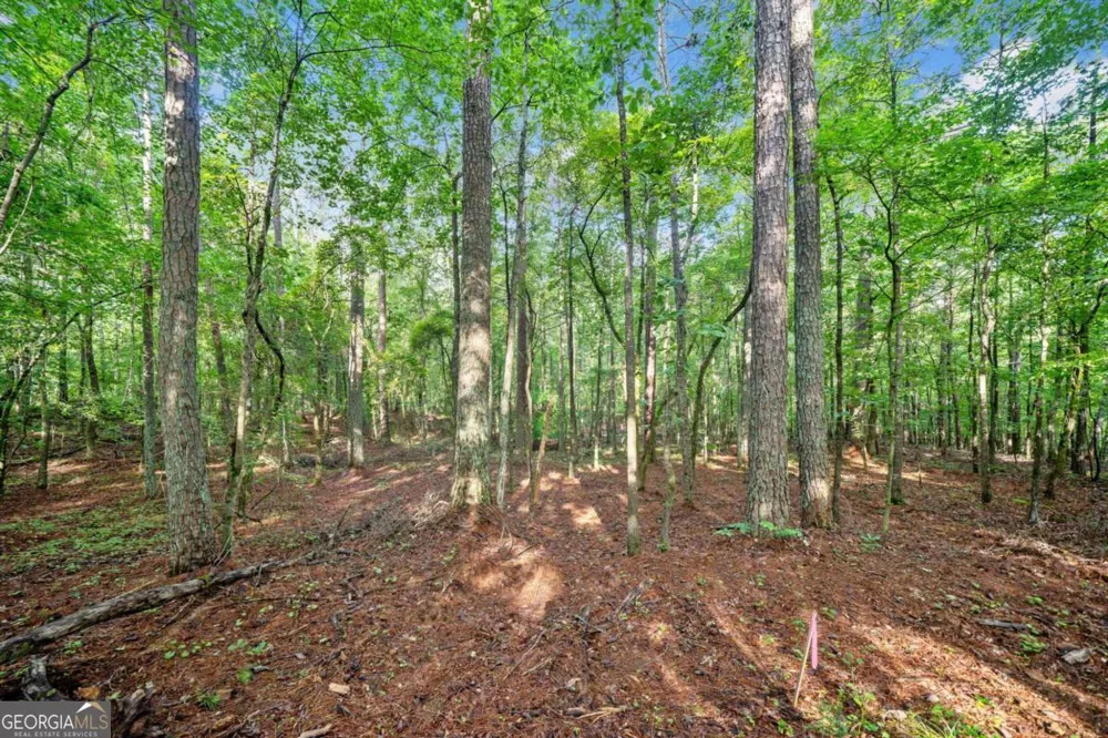 240 Brock TRL Milton, GA 30004