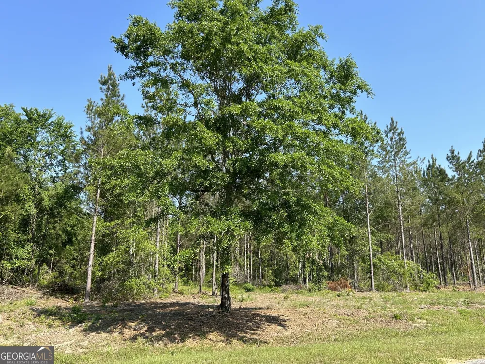 0 Dewey Thomas RD Dexter, GA 31019