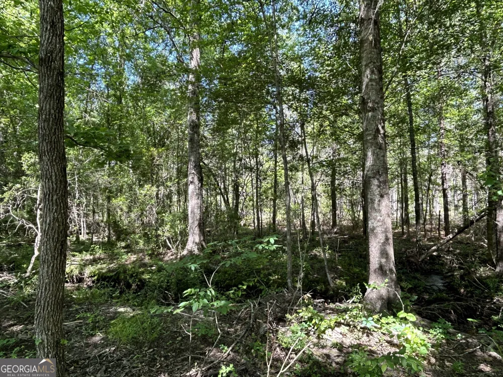 0 Dewey Thomas RD Dexter, GA 31019