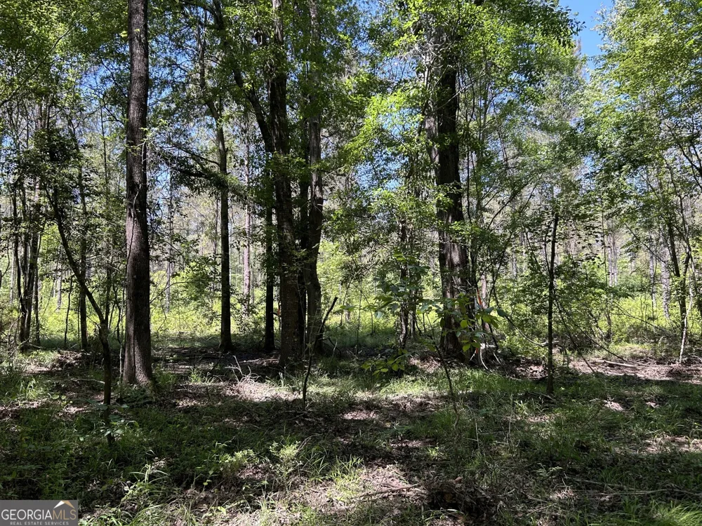 0 Dewey Thomas RD Dexter, GA 31019