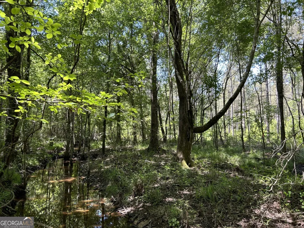 0 Dewey Thomas RD Dexter, GA 31019