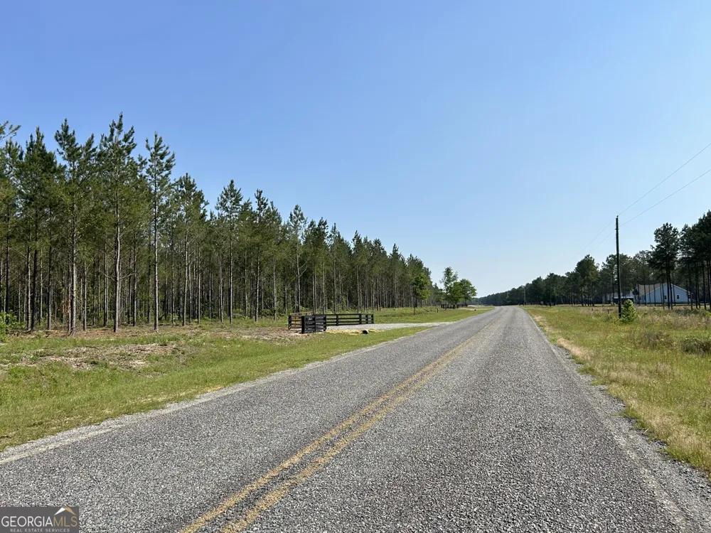 0 Dewey Thomas RD Dexter, GA 31019