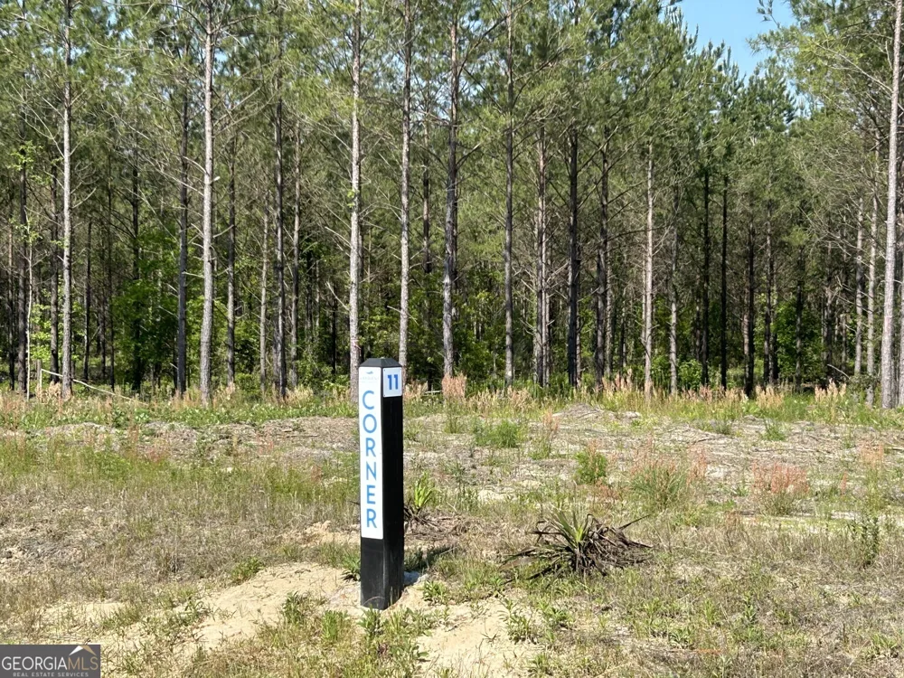 0 Dewey Thomas RD Dexter, GA 31019