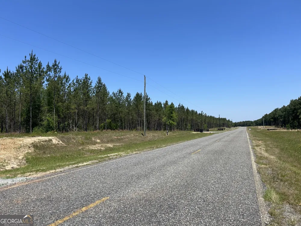 0 Dewey Thomas RD Dexter, GA 31019