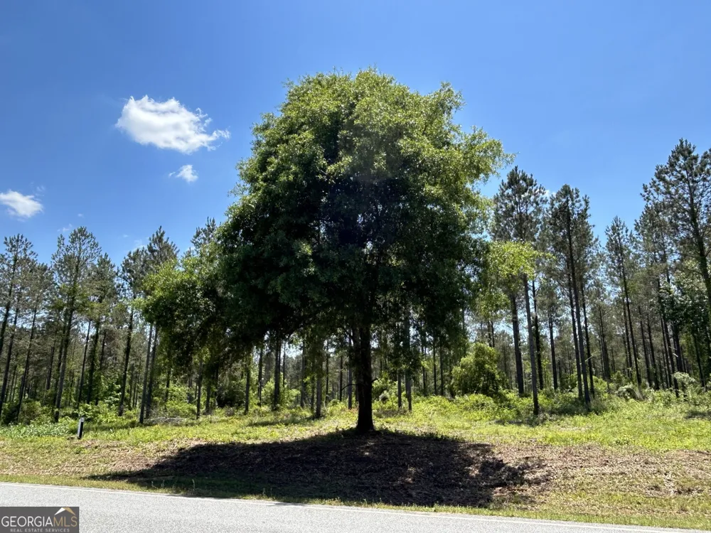 0 Springhaven RD Dexter, GA 31019