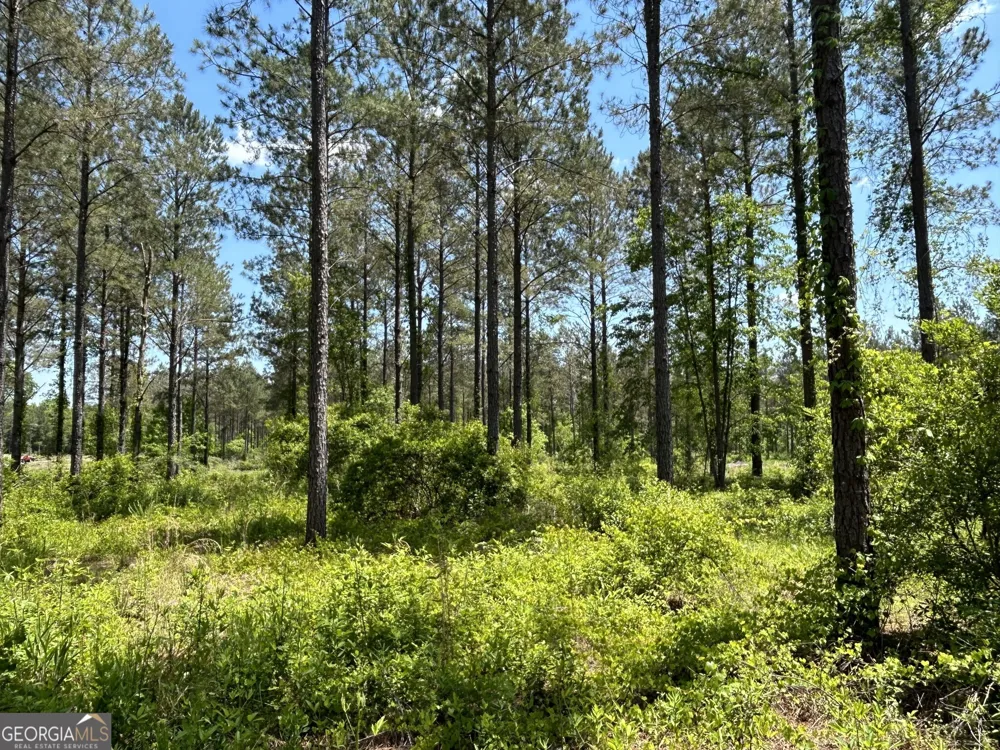 0 Springhaven RD Dexter, GA 31019
