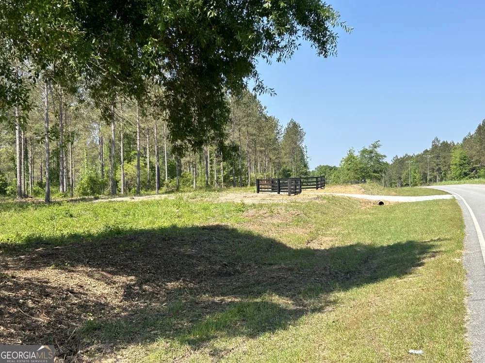 0 Springhaven RD Dexter, GA 31019
