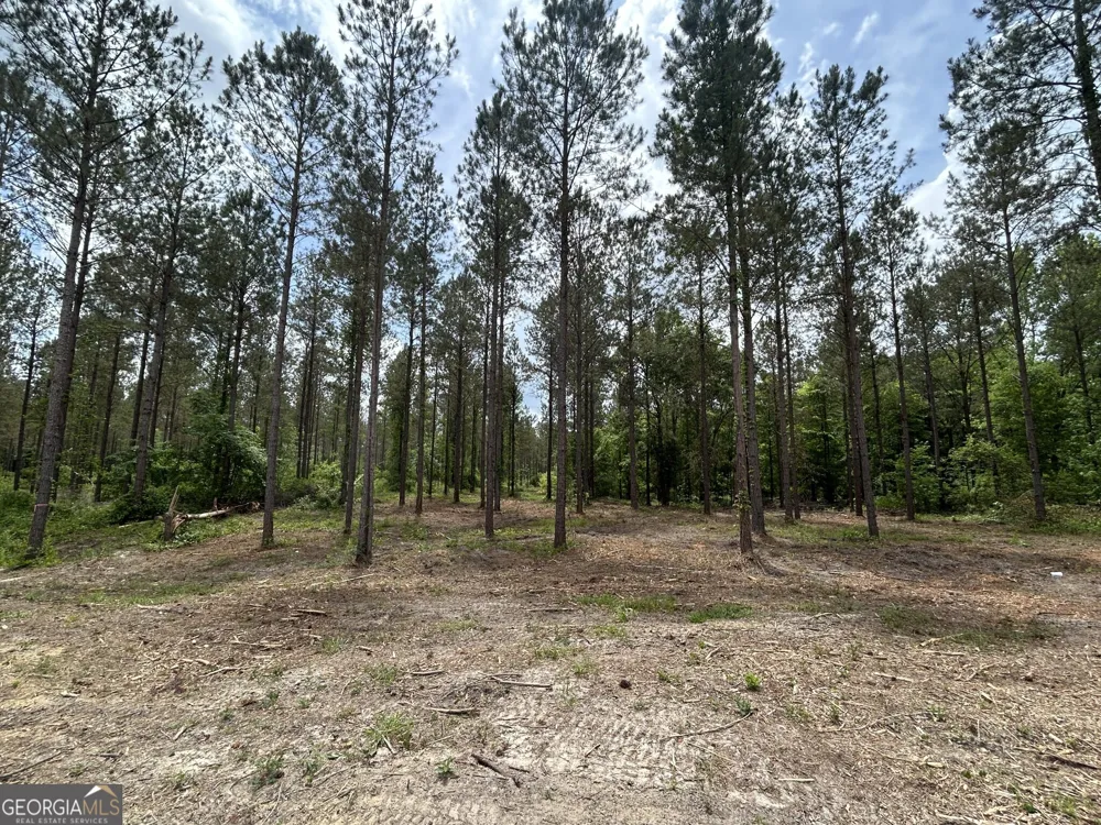 0 Springhaven RD Dexter, GA 31019
