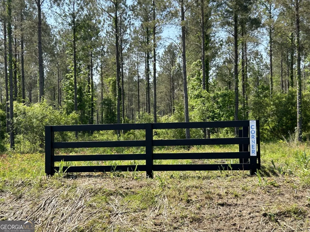 0 Springhaven RD Dexter, GA 31019
