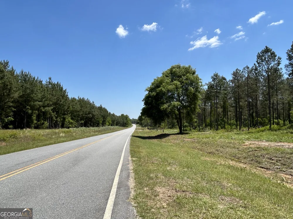 0 Springhaven RD Dexter, GA 31019