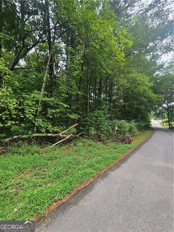 0 Crowe Springs SPUR NW Adairsville, GA 30103