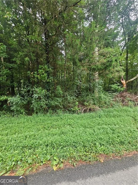 0 Crowe Springs SPUR NW Adairsville, GA 30103