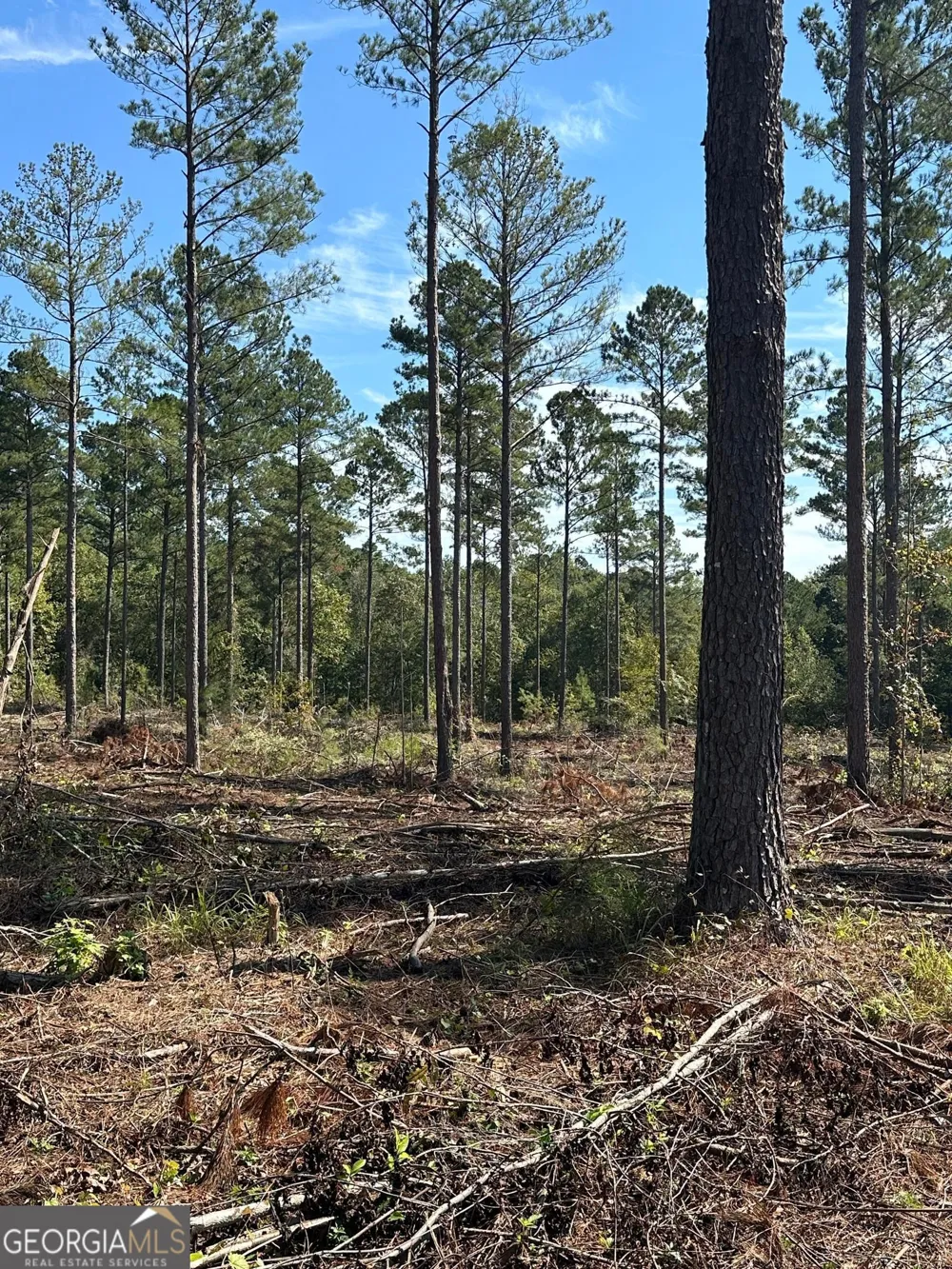 0 seven islands RD Madison, GA 30650