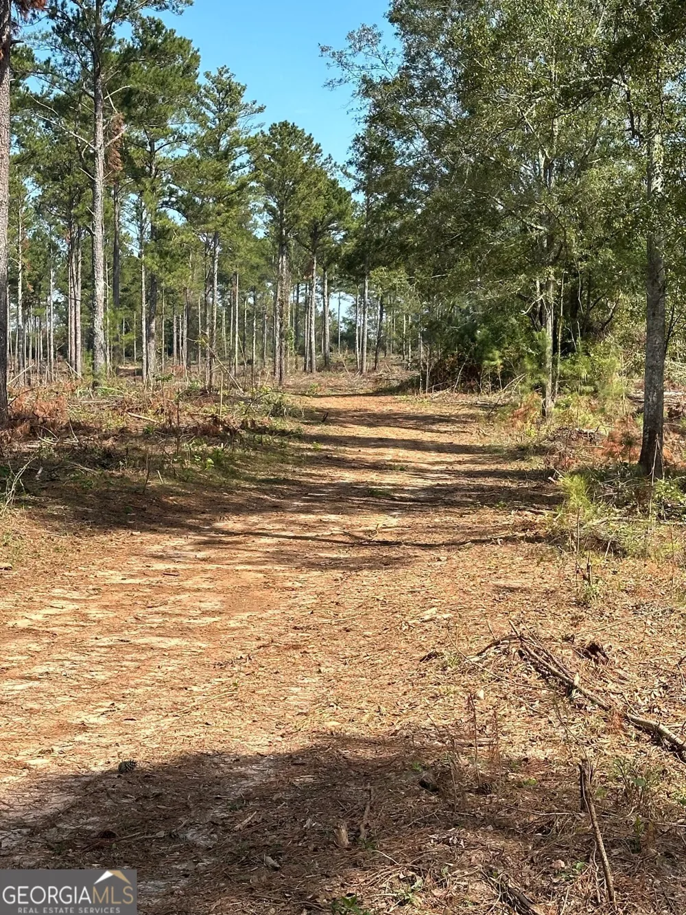 0 seven islands RD Madison, GA 30650