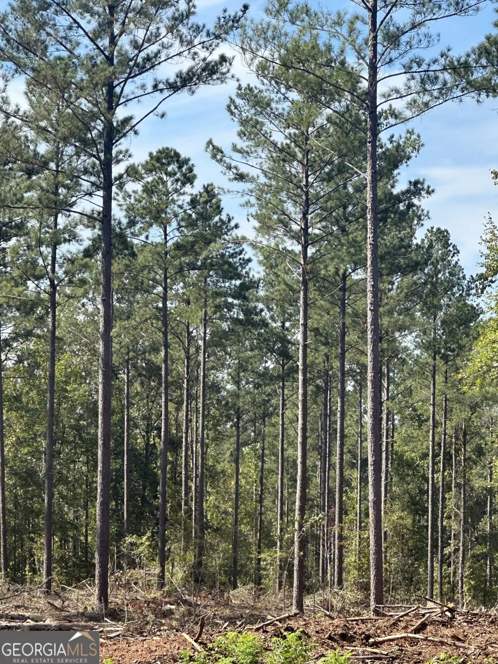 0 seven islands RD Madison, GA 30650