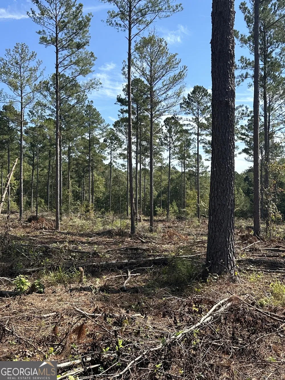 0 seven islands RD Madison, GA 30650
