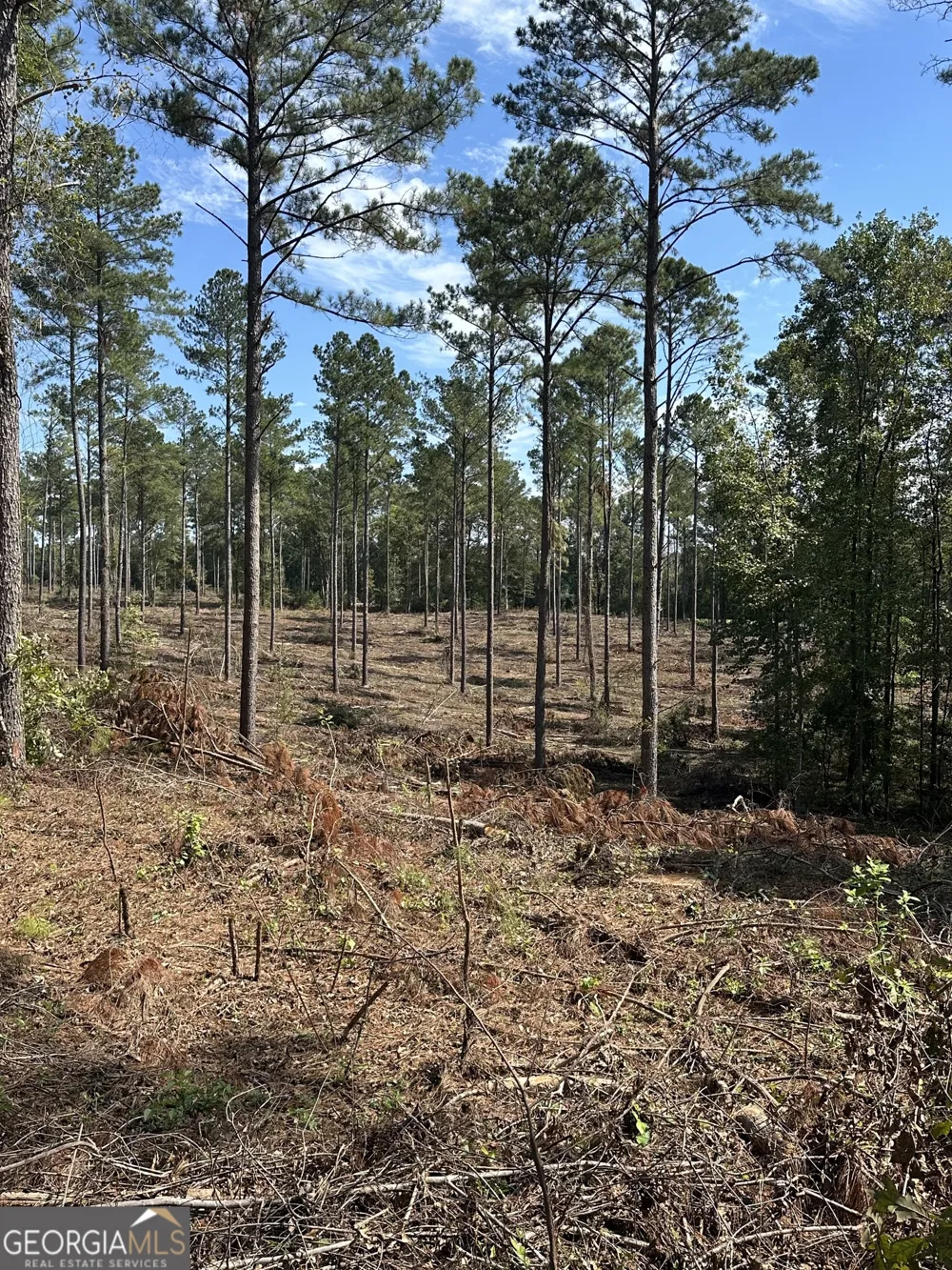 0 seven islands RD Madison, GA 30650
