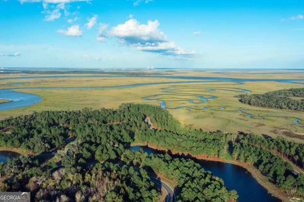 LOT 399 Whales Brook WAY Waverly, GA 31565