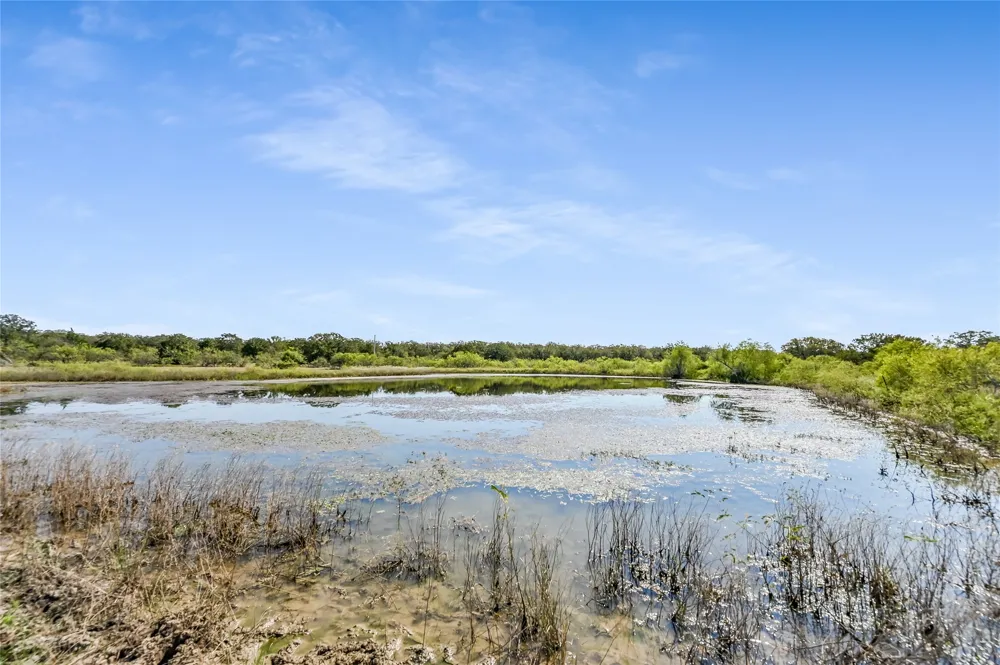 5637 Jeddo Road Waelder, TX 78959