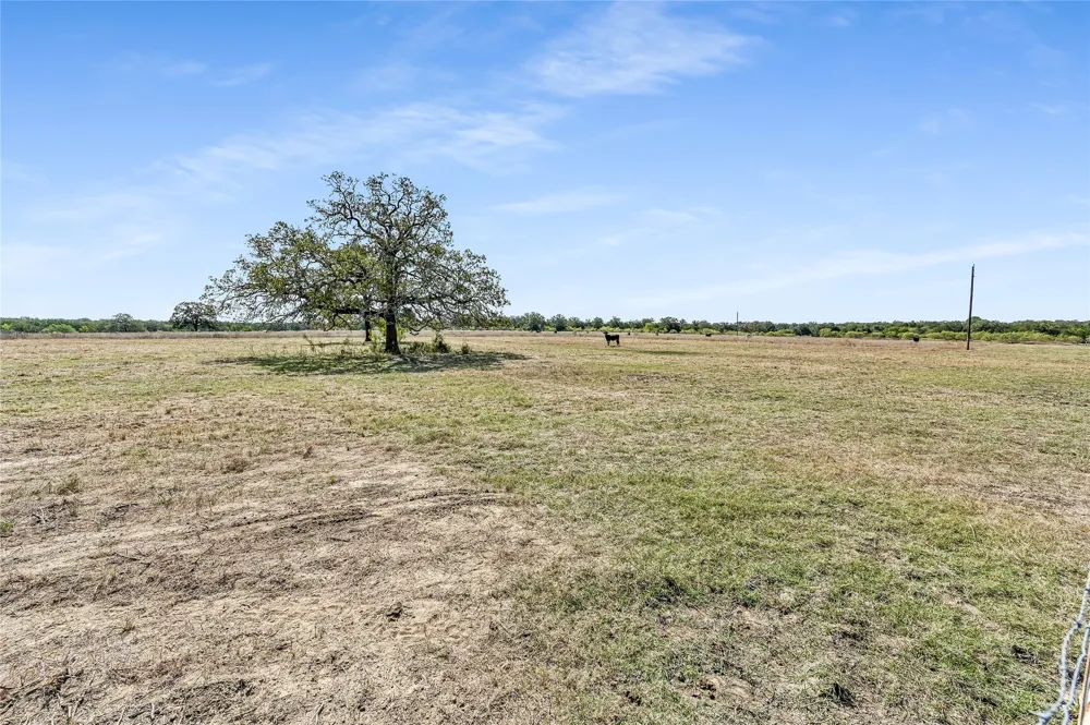 5637 Jeddo Road Waelder, TX 78959