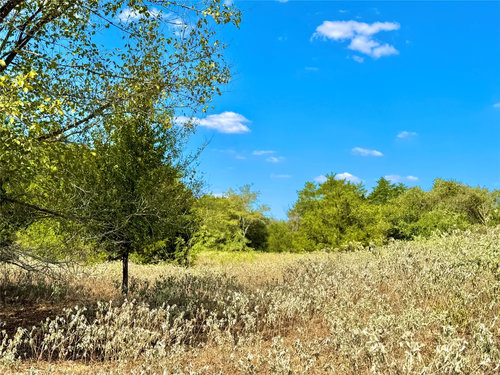 50 Rabel Road Rosanky, TX 78953