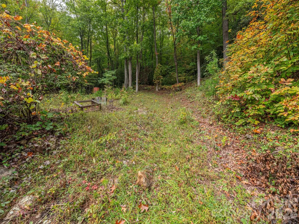 775 Chambers Cove Road Canton, NC 28716