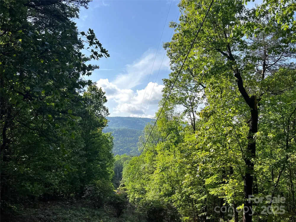 Lot 16 Arrowhead Ridge #16R Brevard, NC 28712