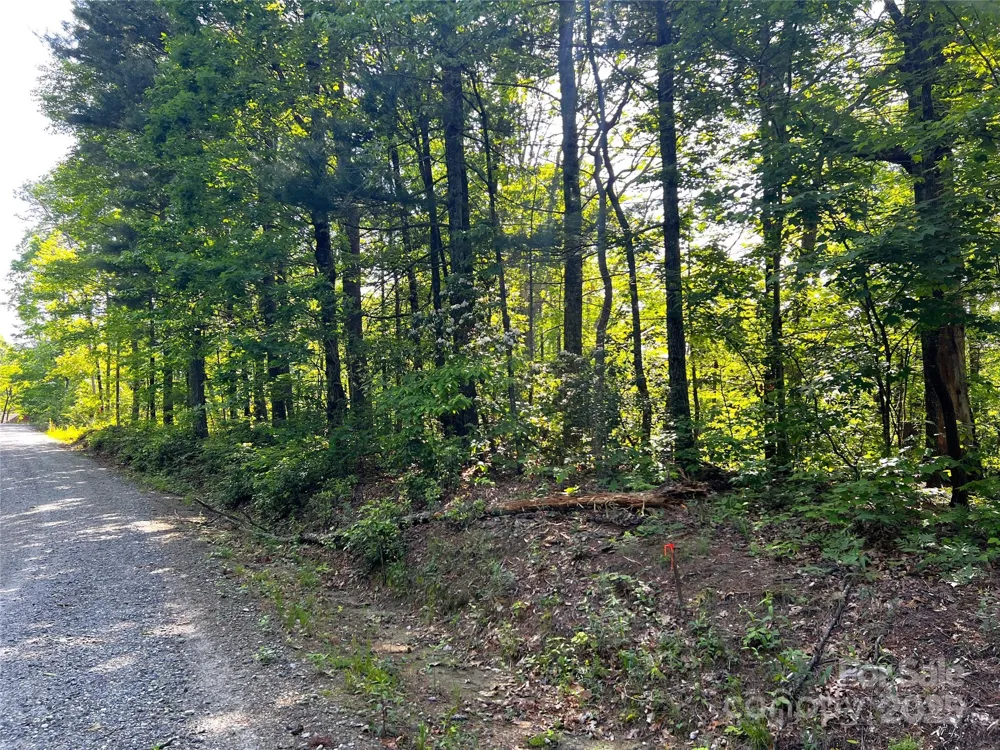 Lot 16 Arrowhead Ridge #16R Brevard, NC 28712