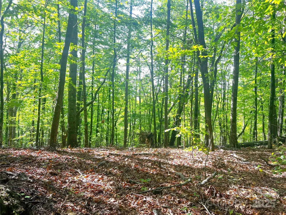 Lot 16 Arrowhead Ridge #16R Brevard, NC 28712