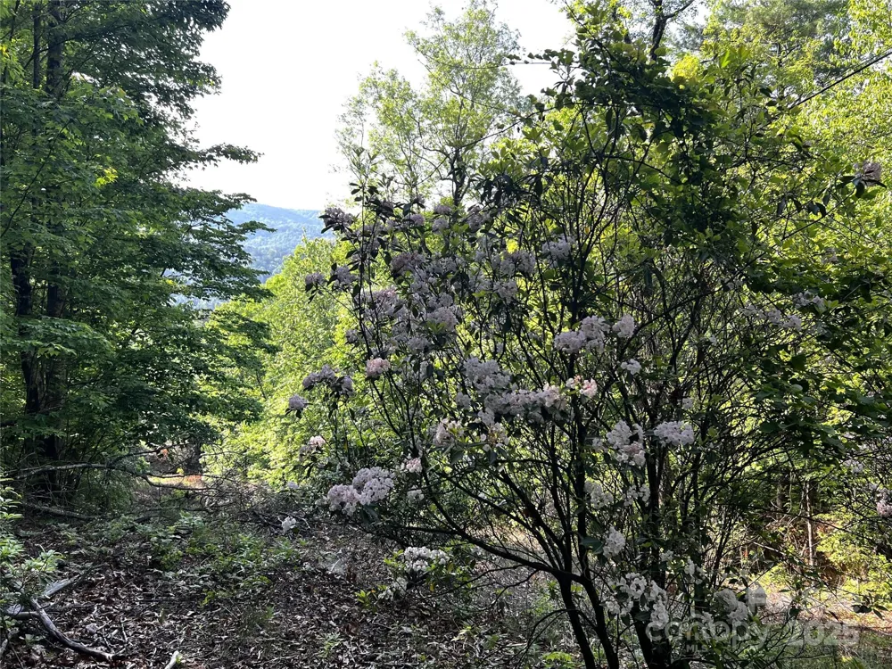Lot 16 Arrowhead Ridge #16R Brevard, NC 28712