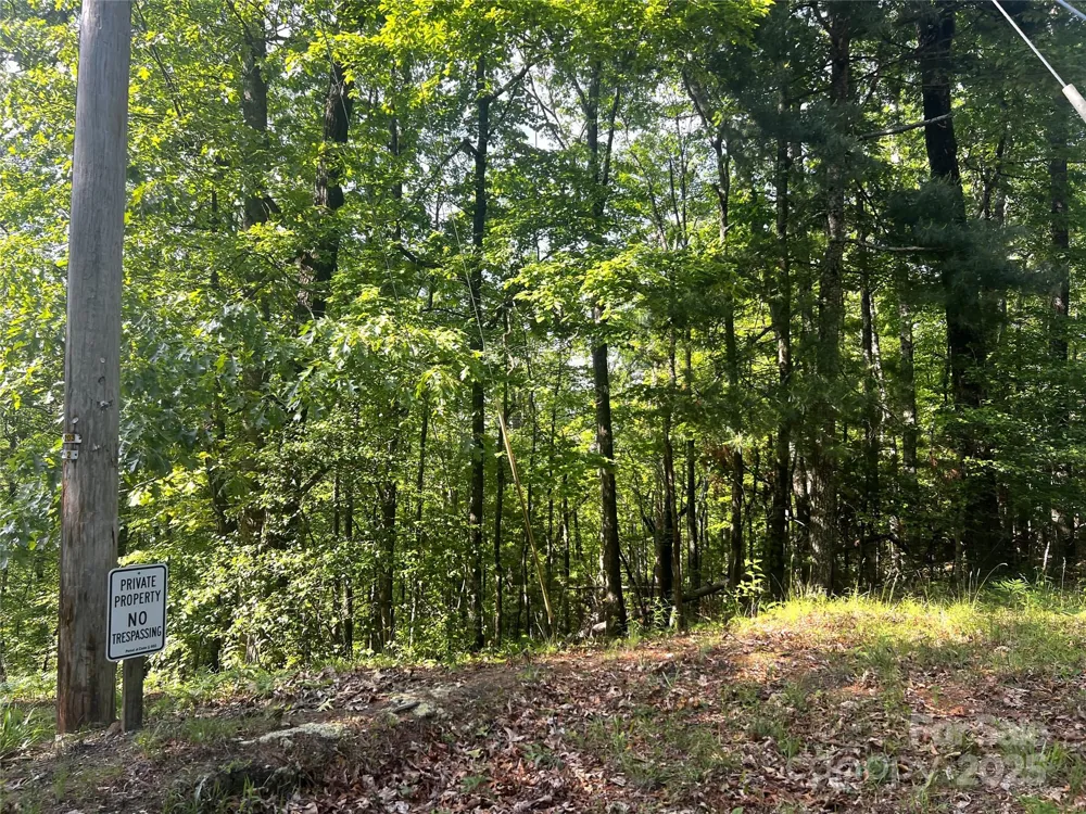 Lot 16 Arrowhead Ridge #16R Brevard, NC 28712