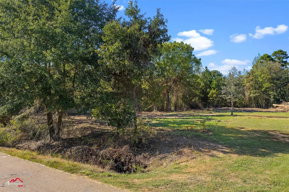 Bolinger Cutoff Road Plain Dealing, LA 71064