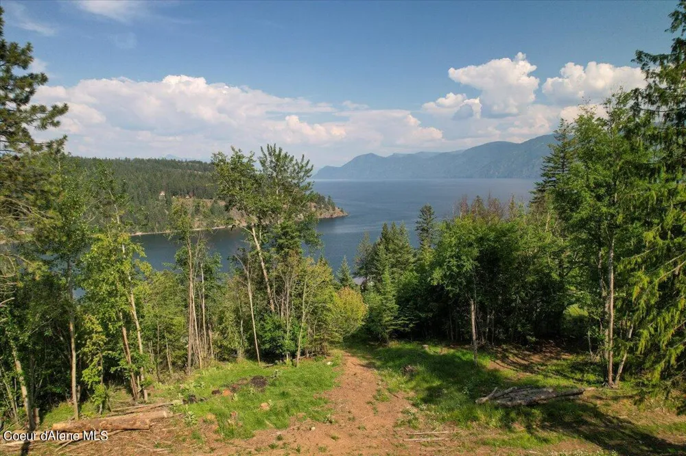 699 Midas Drive Sagle, ID 83860