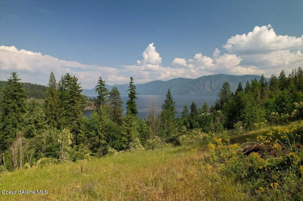 699 Midas Drive Sagle, ID 83860