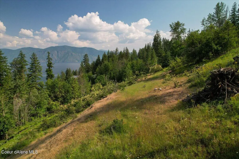 699 Midas Drive Sagle, ID 83860