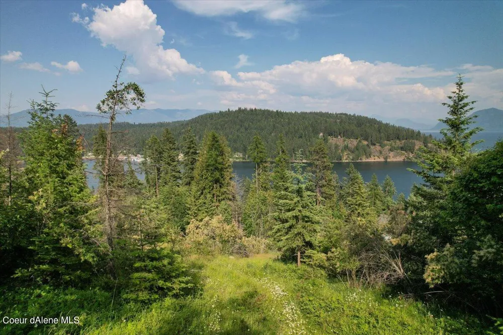 699 Midas Drive Sagle, ID 83860