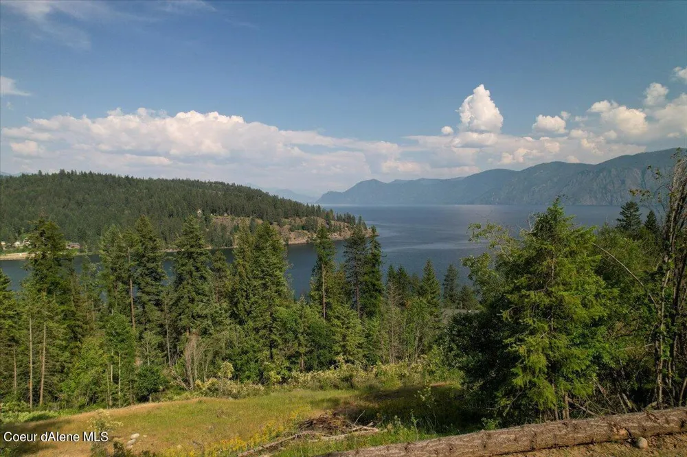 699 Midas Drive Sagle, ID 83860