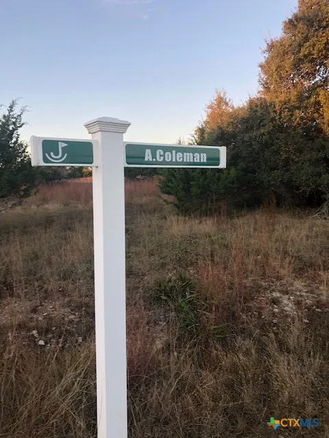 A. Coleman Street Blanco, TX 78606