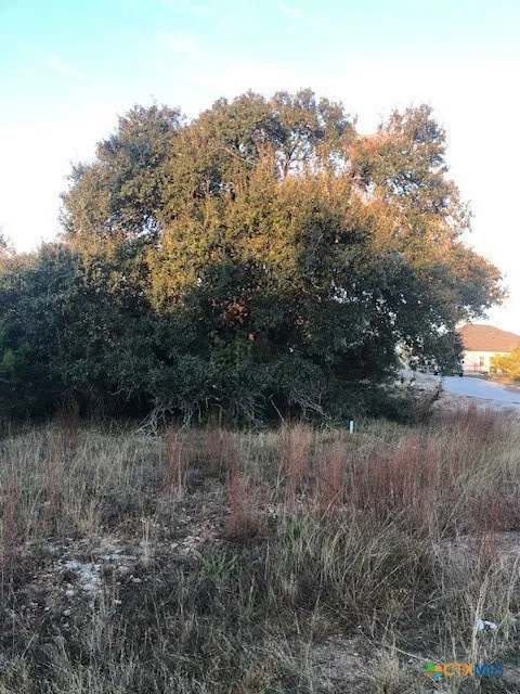 A. Coleman Street Blanco, TX 78606