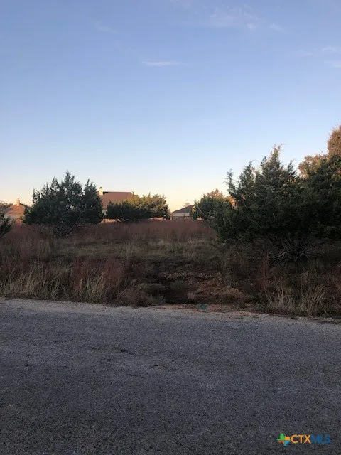 A. Coleman Street Blanco, TX 78606