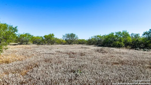 FM 472 Bigfoot, TX 78005