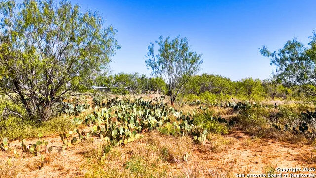 FM 472 Bigfoot, TX 78005