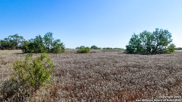 FM 472 Bigfoot, TX 78005