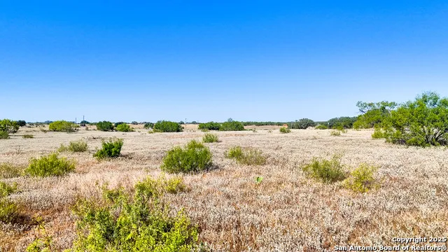FM 472 Bigfoot, TX 78005