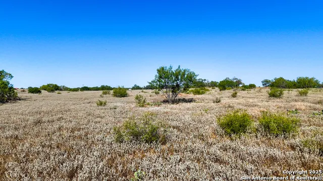 FM 472 Bigfoot, TX 78005