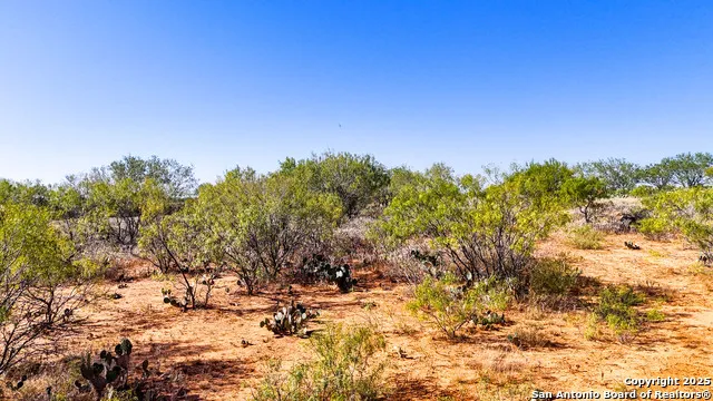 FM 472 Bigfoot, TX 78005