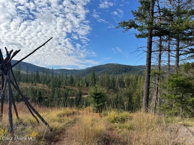 NKA Parcel 1 Dole Camp Road Tensed, ID 83870